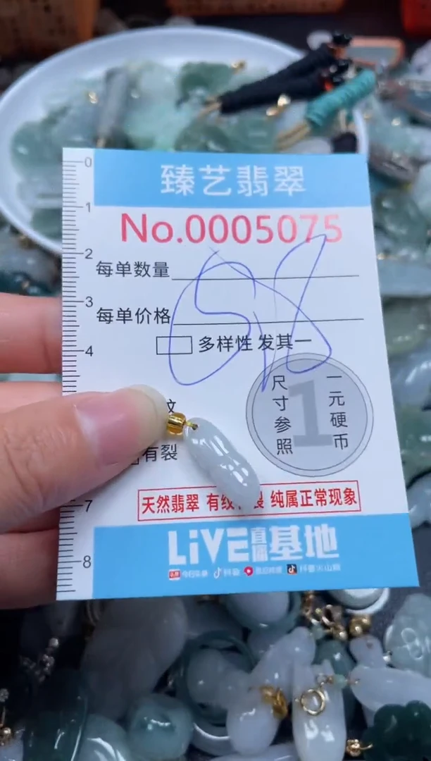 颈饰未镶嵌翡翠5075