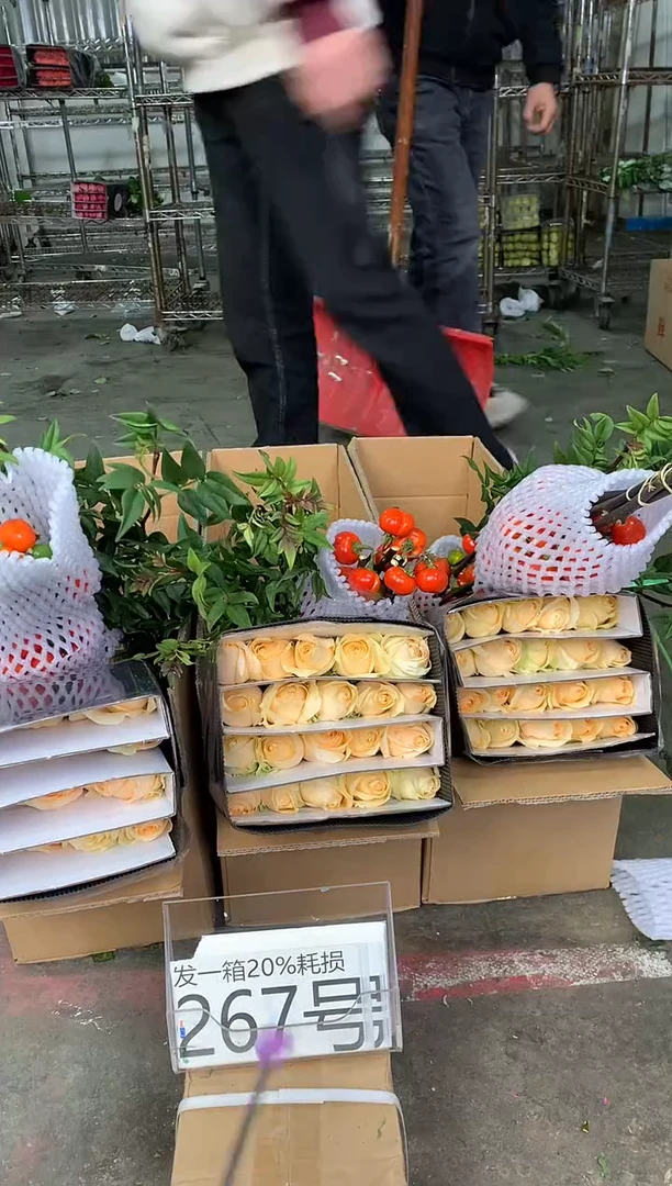 267号♥中通含20%耗损发一箱