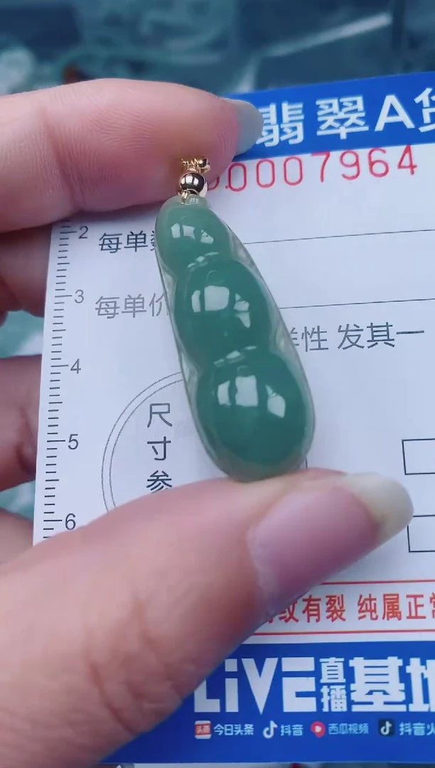 颈饰未镶嵌翡翠00007964