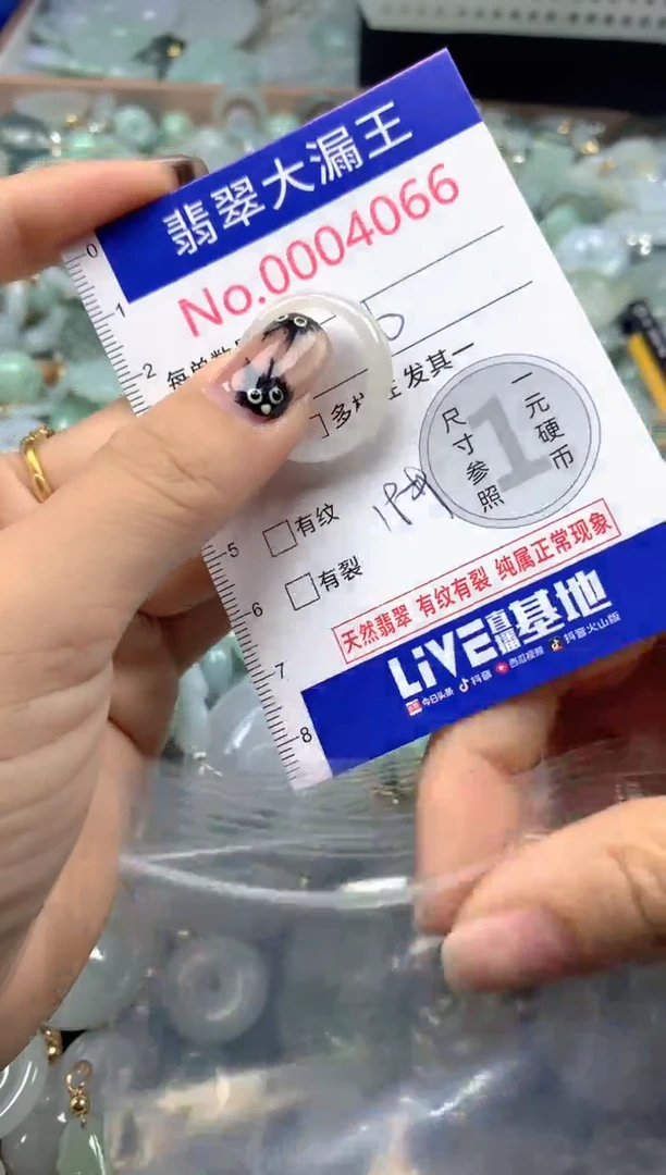 颈饰未镶嵌翡翠4066