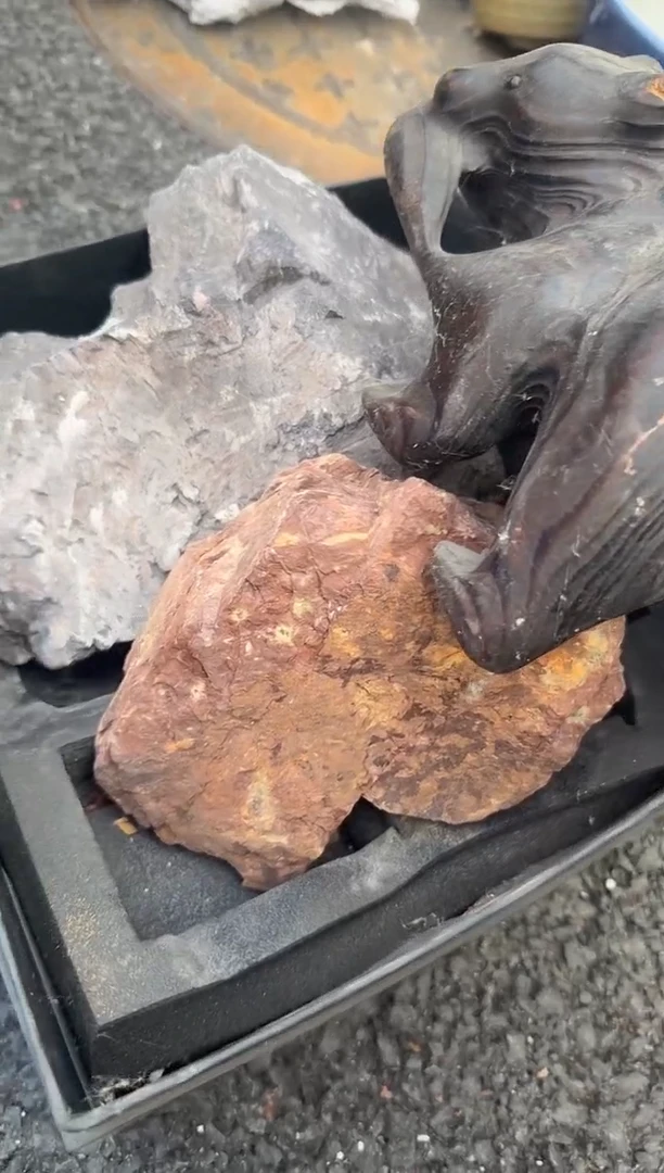 茶盏心**海直播闪购改价链接19