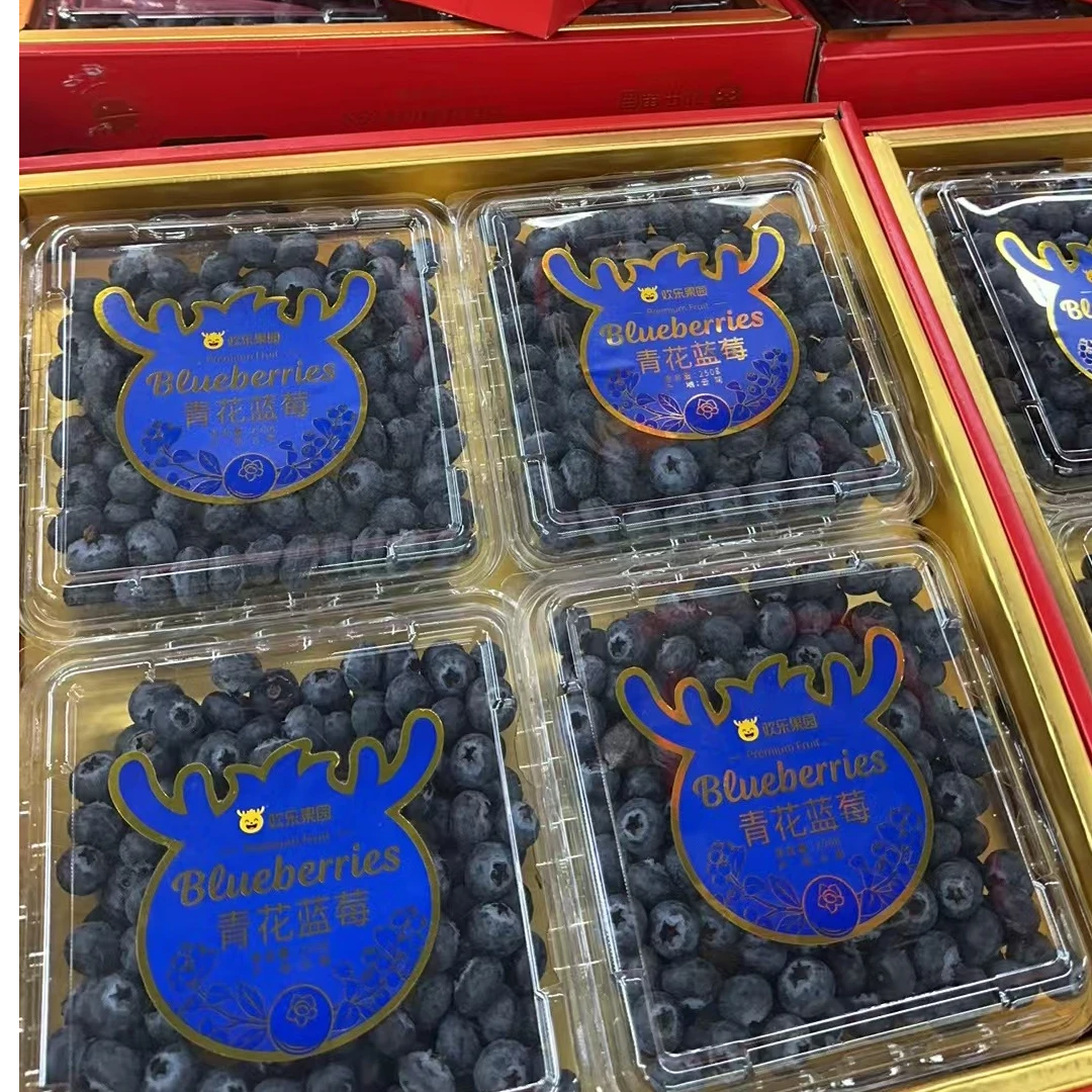 优质蓝莓鲜果4大合一礼盒装果脯