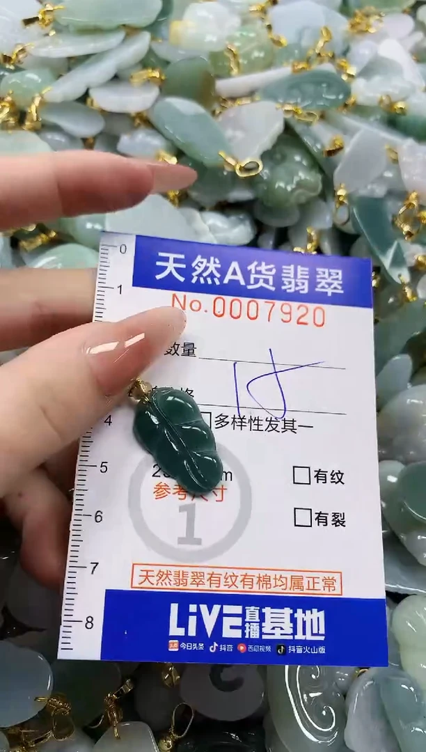 颈饰未镶嵌翡翠天然A货翡翠