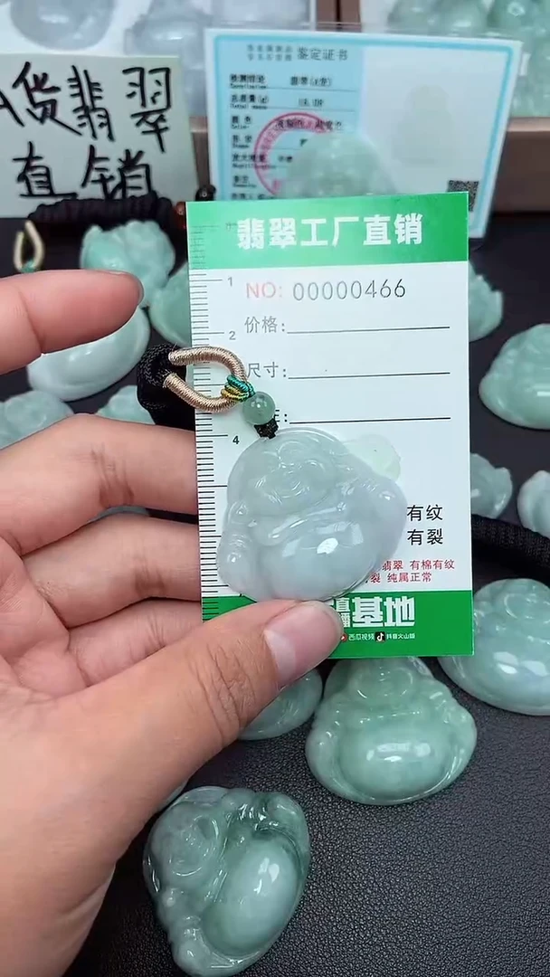 颈饰未镶嵌翡翠缅甸天然翡翠0466