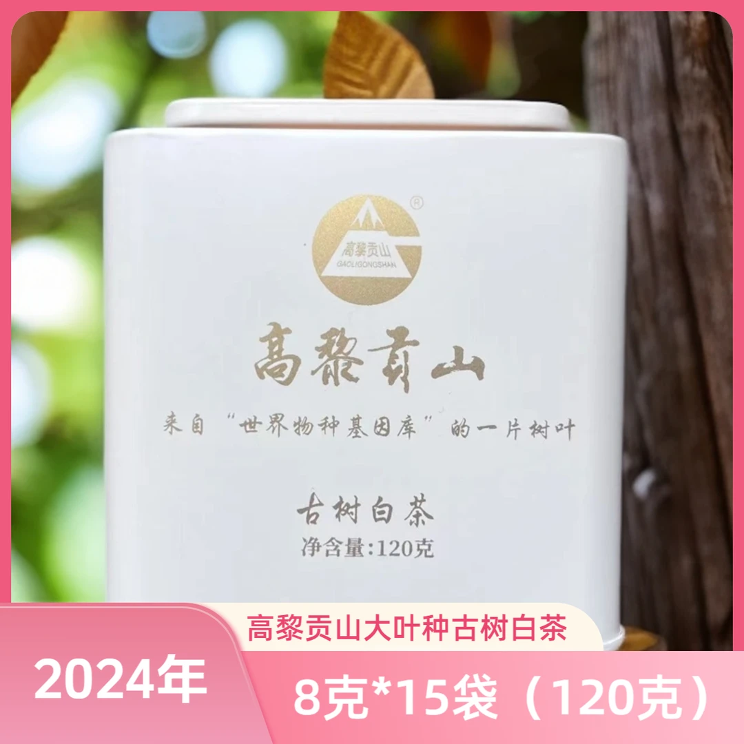 高黎贡山 2024年云南大叶种古树白茶薄片 （8克*15袋）简约罐装