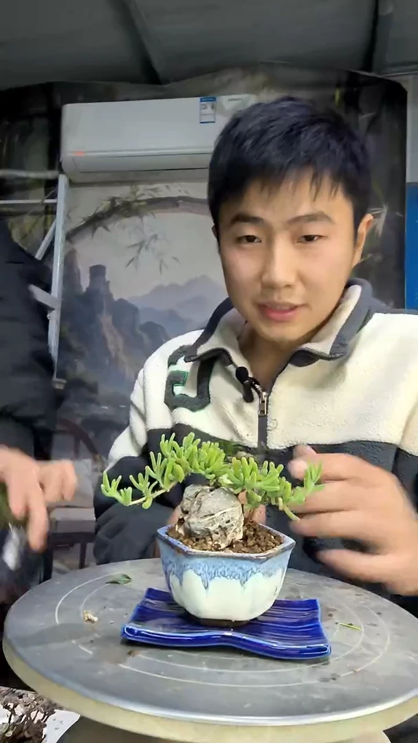 一***水中青园艺一物一拍花104