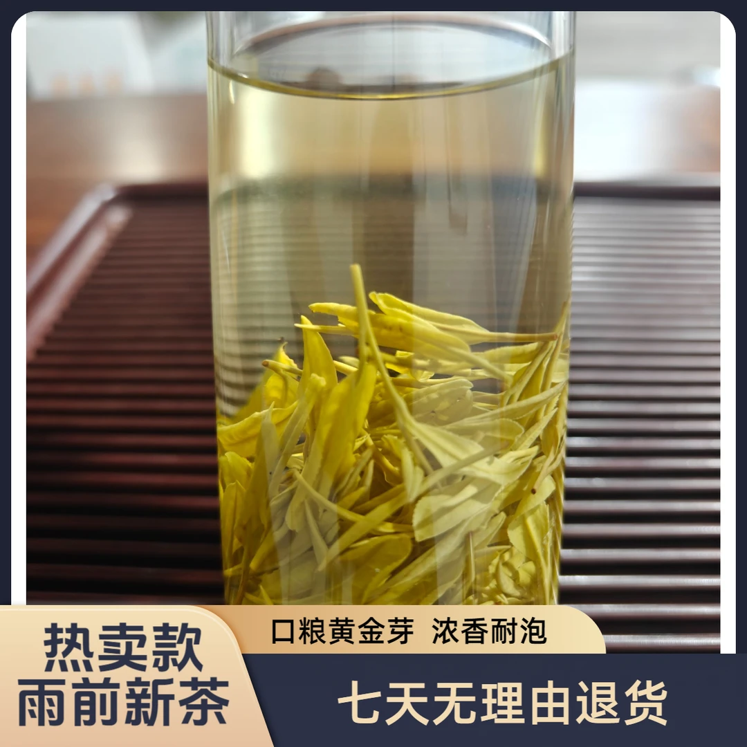 2025年新茶 【H12】春茶口粮茶原产地高山黄金芽茶叶