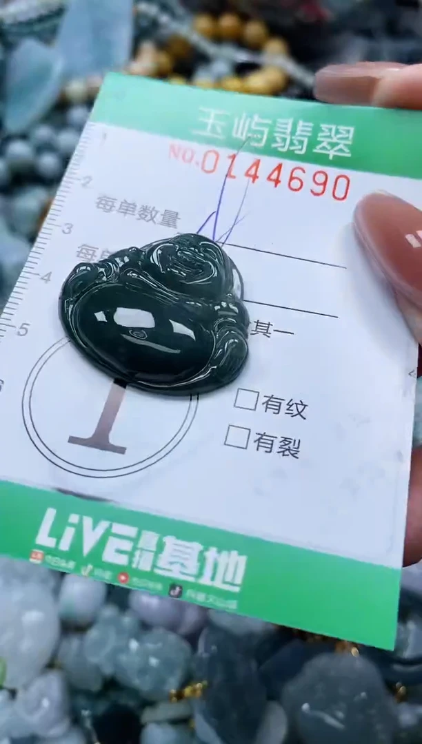 翡翠未镶嵌颈饰闪购0144690