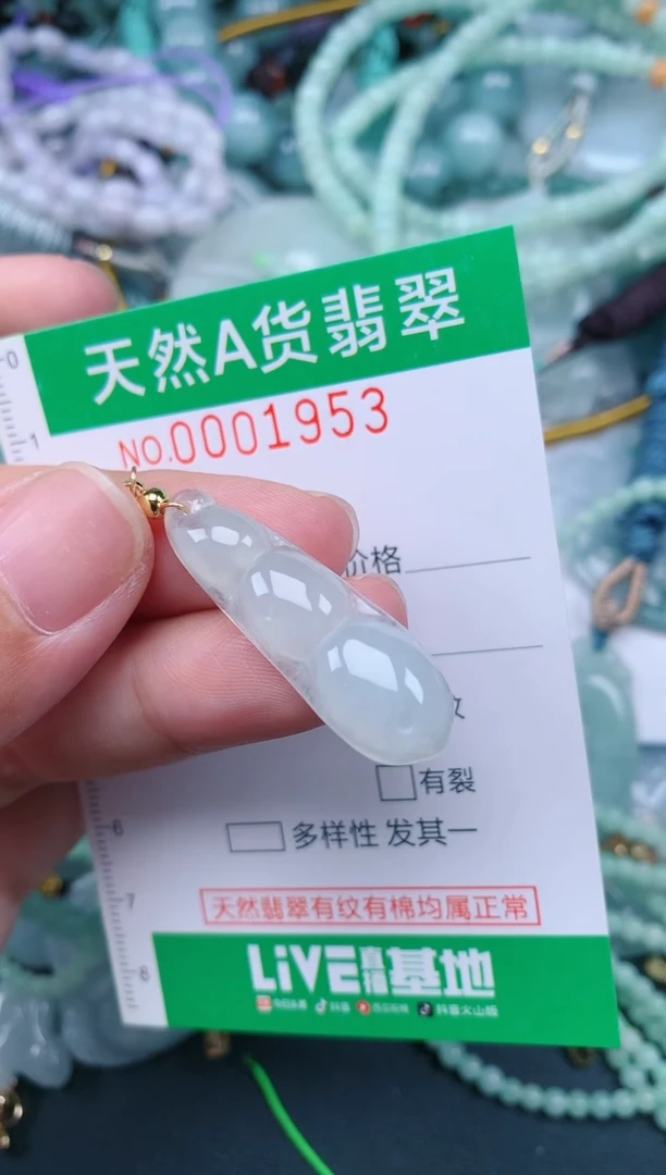 翡翠未镶嵌颈饰.0001953