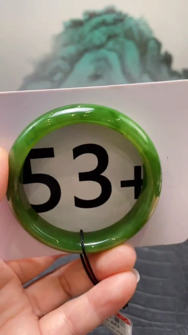 未镶嵌手镯和田玉（碧玉）天****?53+