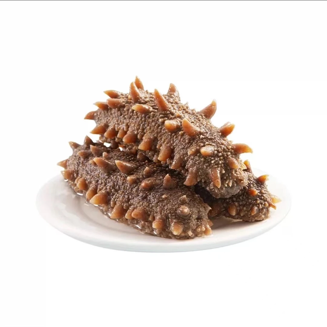 【海参】宁德霞浦 单只50g 总重1/3/5斤 即食刺参 即食营养肉厚