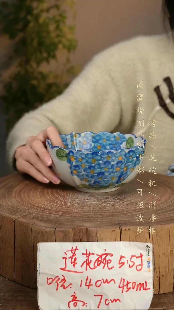碗瓷景德镇手工手绘高温瓷釉下彩