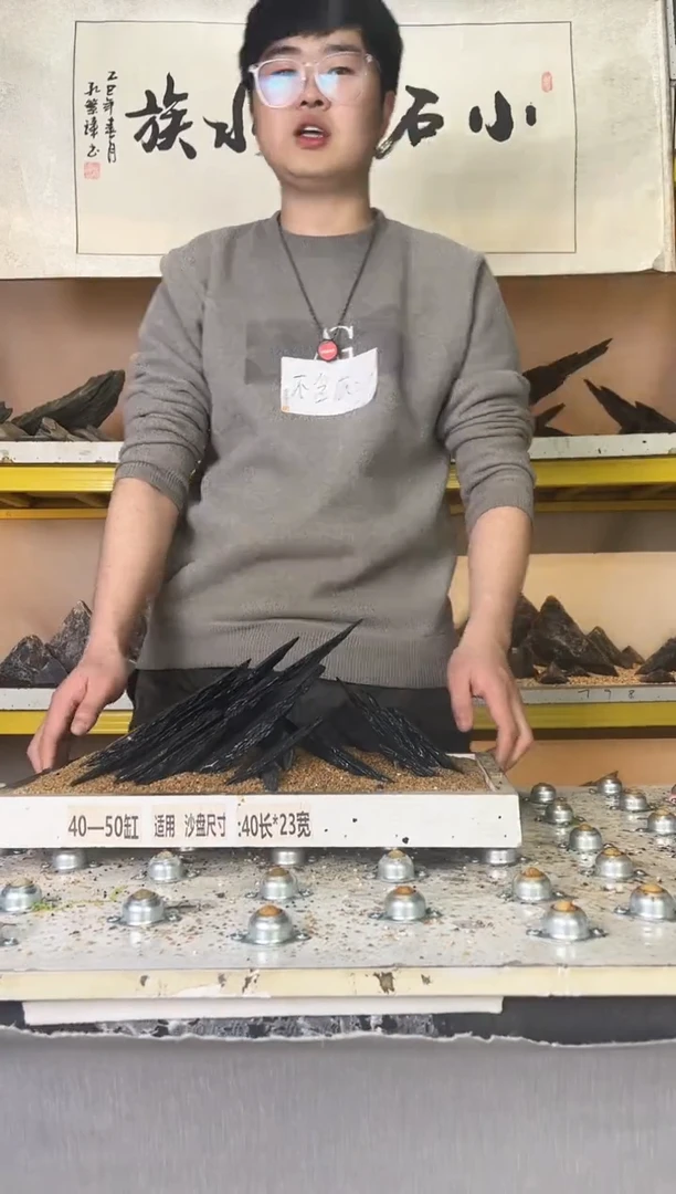 多****乐103    小石潭造景不带编号不含底沙沙盘