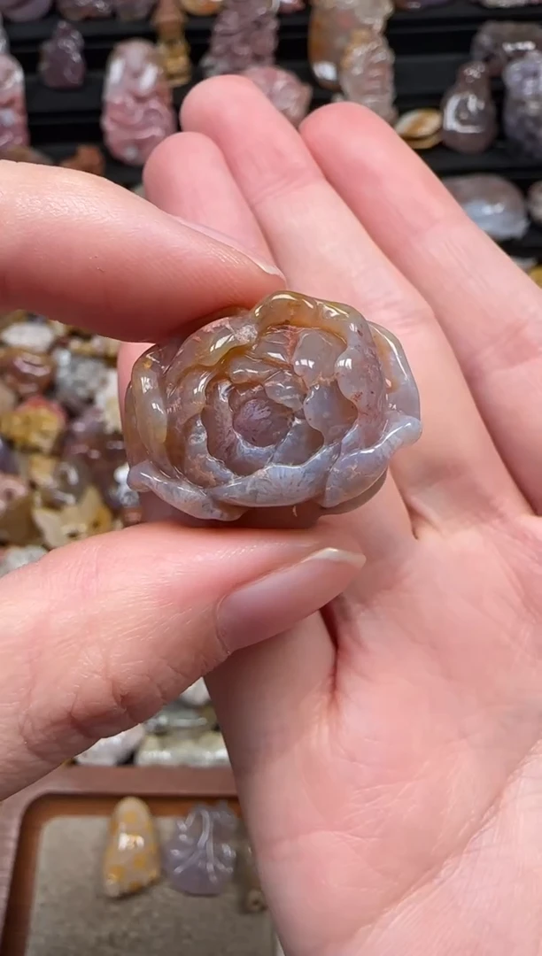 颈饰未镶嵌硅化珊瑚（珊瑚玉）726