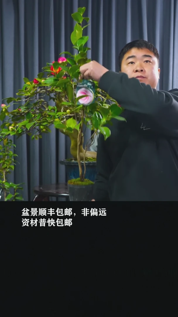 【闪购商品】千春-BB71