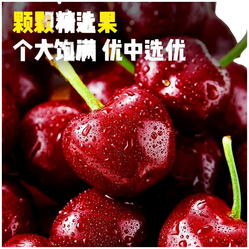 壹1果生鲜【小时达】大连美早樱桃新鲜采摘皮薄多汁4J5J6J8J 2斤装 净重1.8美早