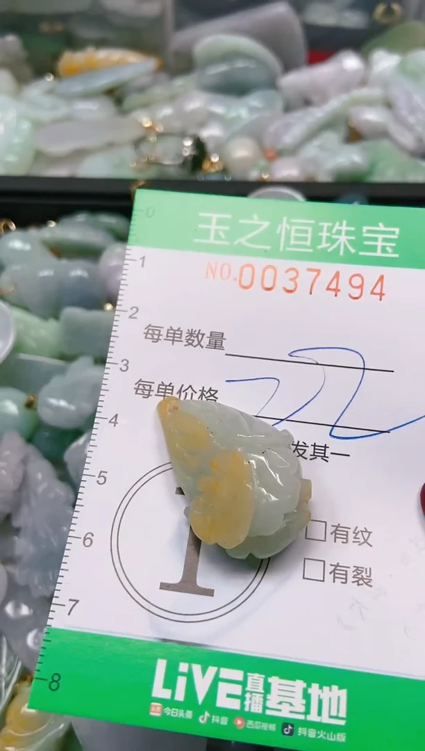 【闪购商品】翡翠颈饰未镶嵌闪购0037493