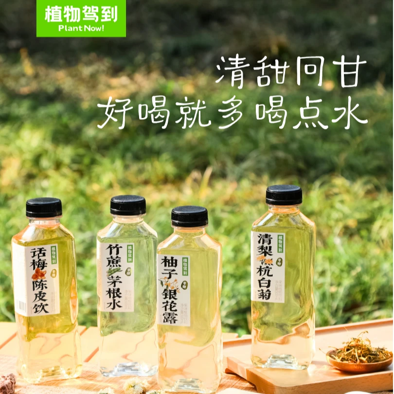 植物驾到0糖0脂0卡植物饮料陈皮话梅清梨杭白菊清爽5瓶古法杏皮茶