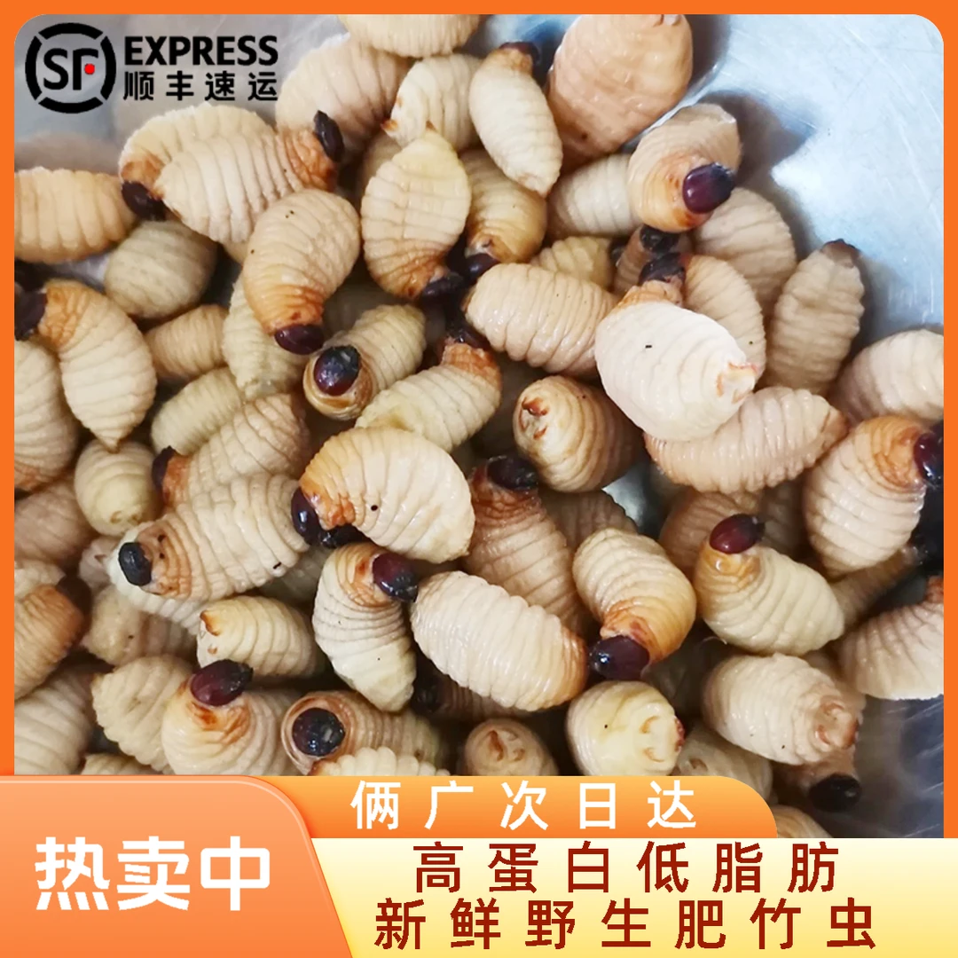鲜活特级云南广宁正宗冷冻竹虫新鲜精选竹笋虫速冻椒盐油炸椰子虫