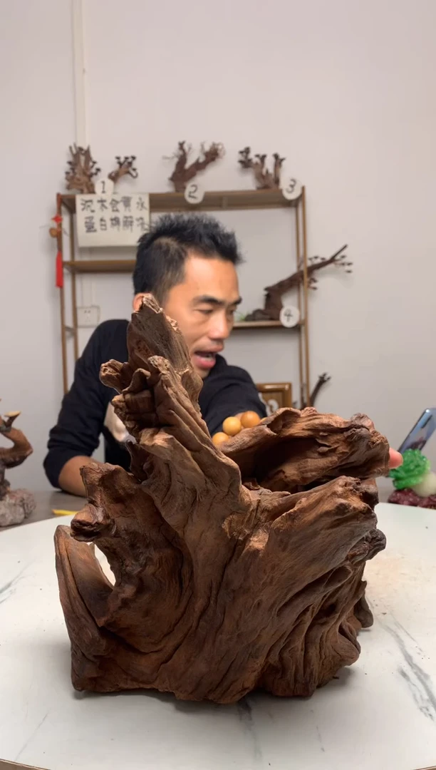 C**o鱼缸造景沉木摆件