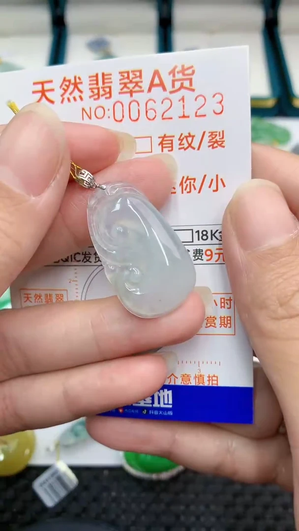 【闪购商品】翡翠颈饰18K金镶嵌            8