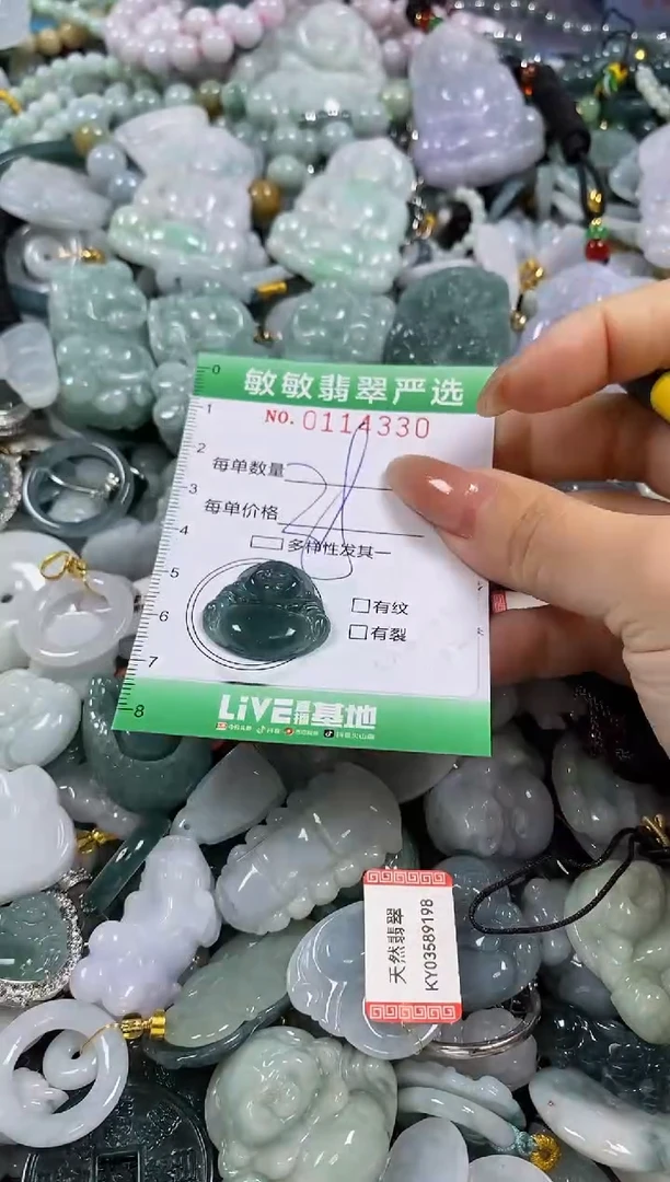 【闪购商品】翡翠颈饰未镶嵌闪购0114330