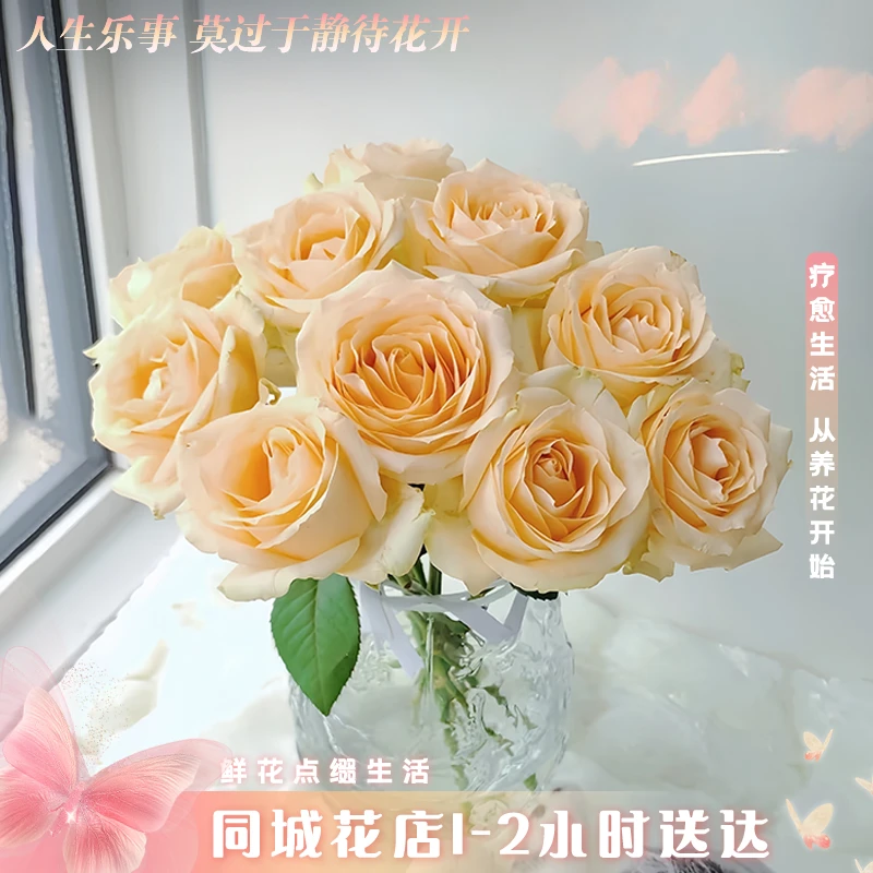 2单起送【小时达·香槟玫瑰】10枝香槟玫瑰家居鲜切花·小时达花店家居花