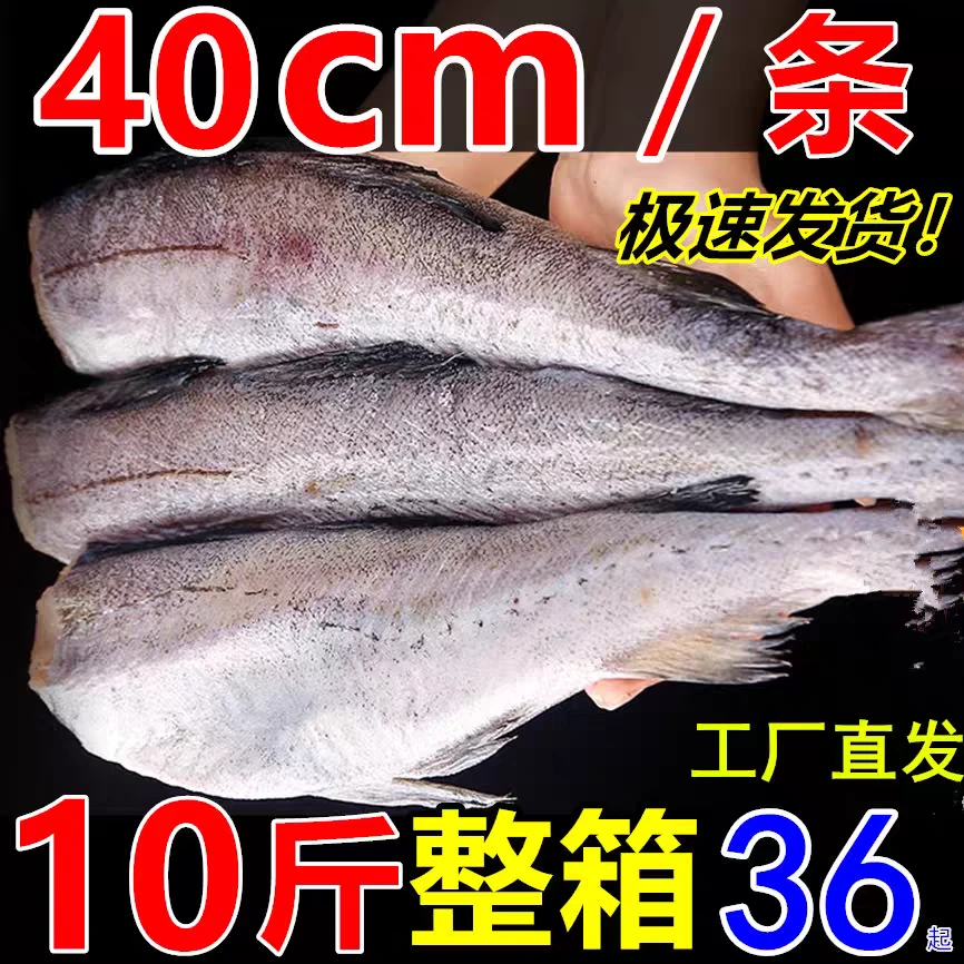 去头去内脏阿拉斯加鳕鱼明太鱼狭鳕鱼无头鱼棒鱼单条1.3斤—1.6斤