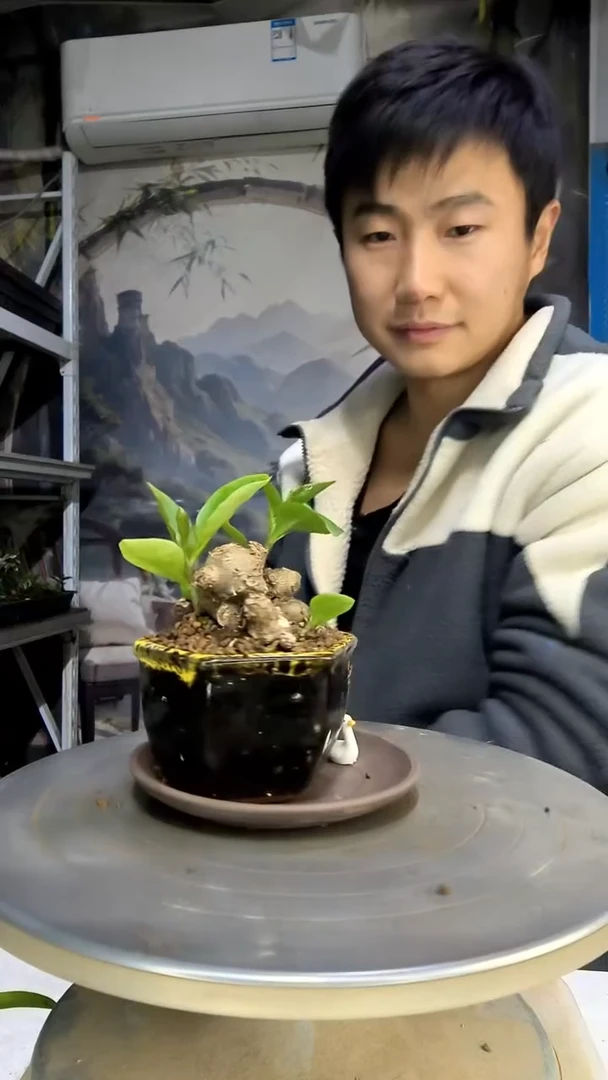 彤*中青园艺一物一拍花101