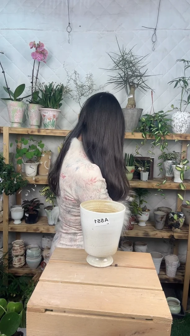 无花朵551酒杯花盆