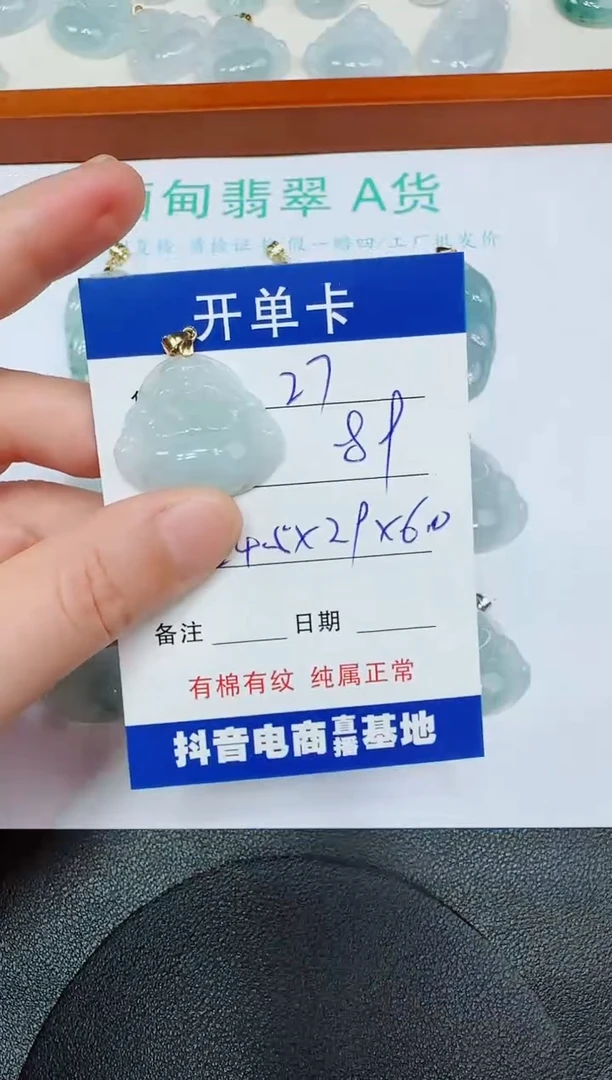 翡翠未镶嵌吊坠(赠链)27