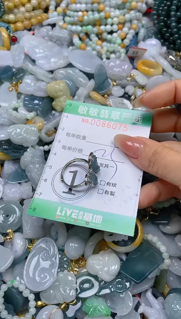 【闪购商品】翡翠颈饰未镶嵌闪购0086075