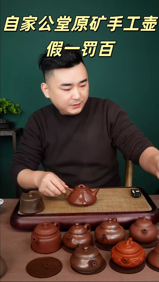 茶壶紫砂子冶石瓢220cc