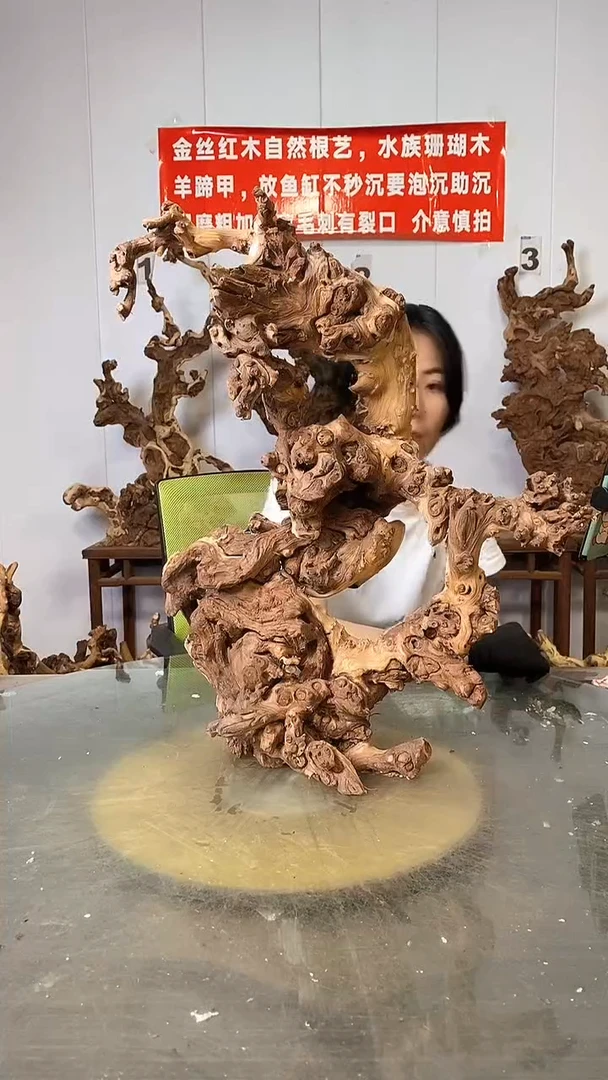 香榧木金丝红木 羊蹄甲