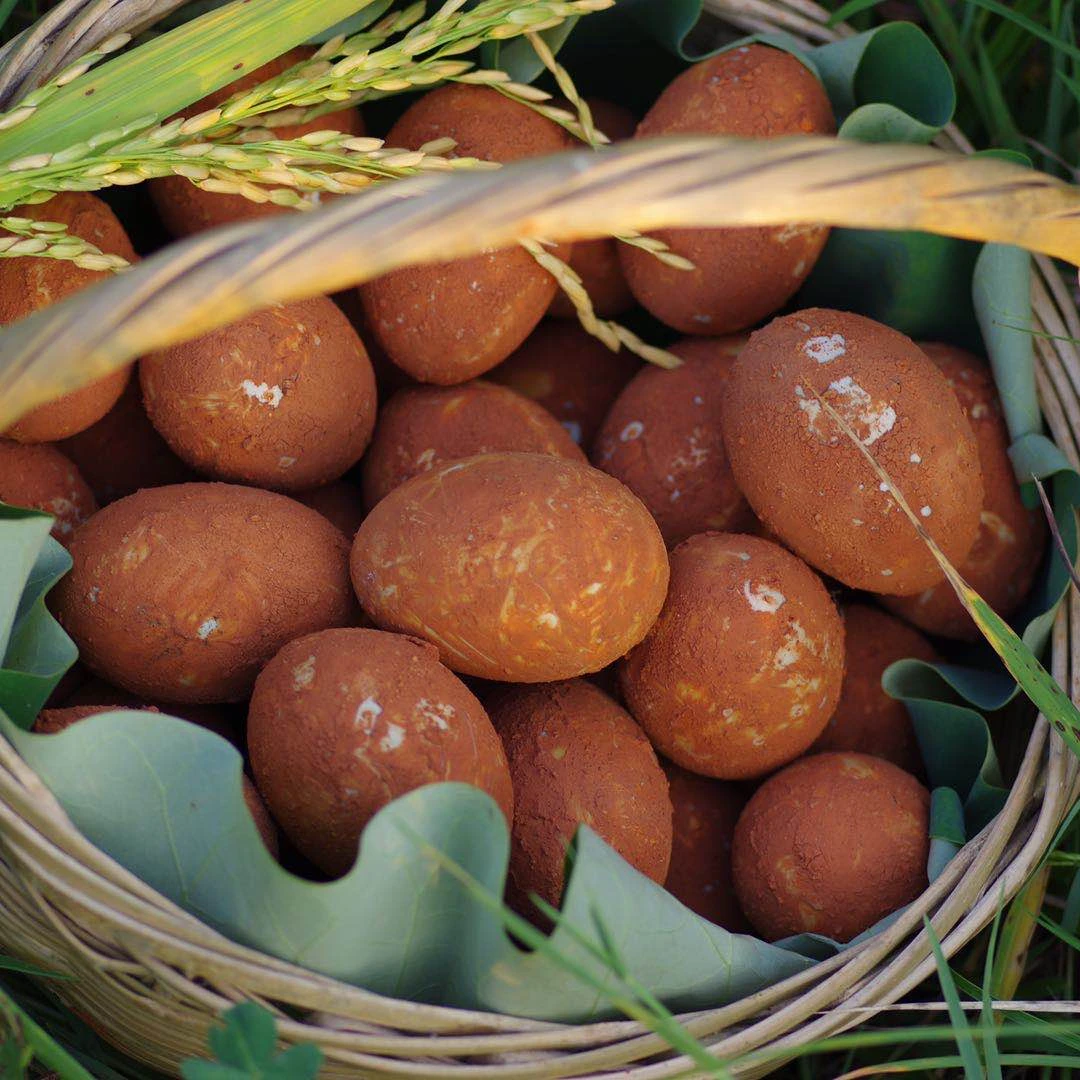 娴子湖北咸宁手工红泥咸鸭蛋生咸鸭蛋鄂南民间美食顺丰包邮