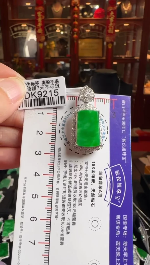 颈饰未镶嵌翡翠DK9215冰绿无事牌