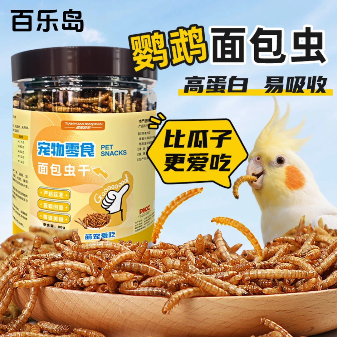 鹦鹉适用面包虫干黄粉虫干高蛋白饲料互动零食活体饲料替代品a