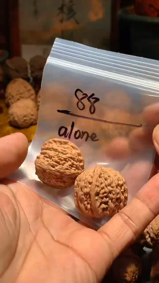 把件桃核a****?丰泰文玩  白狮子 32  尺寸左右