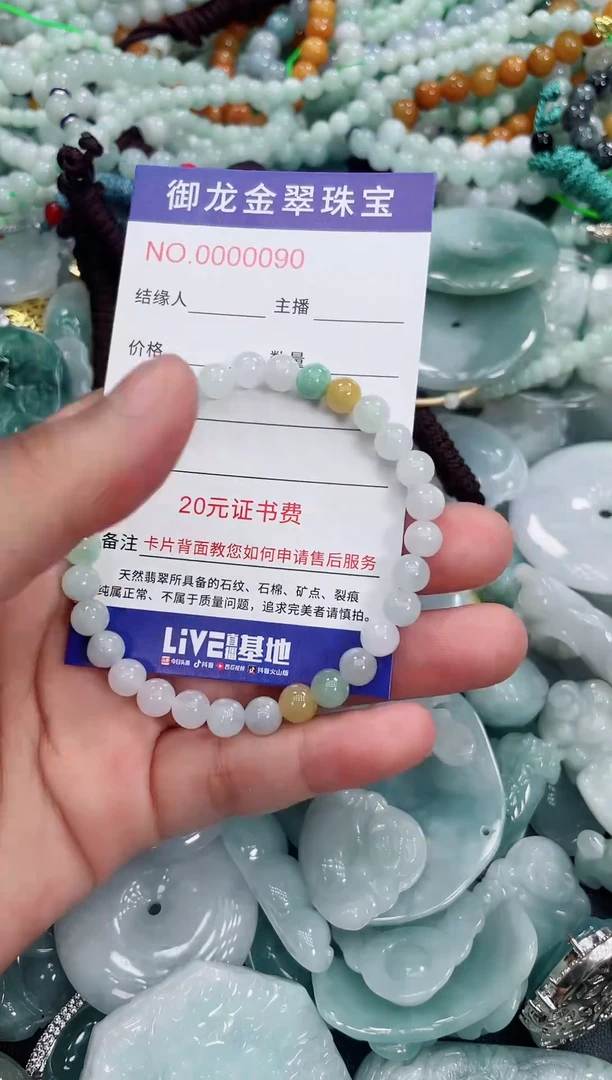 翡翠未镶嵌颈饰065