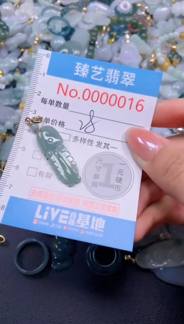 颈饰未镶嵌翡翠016