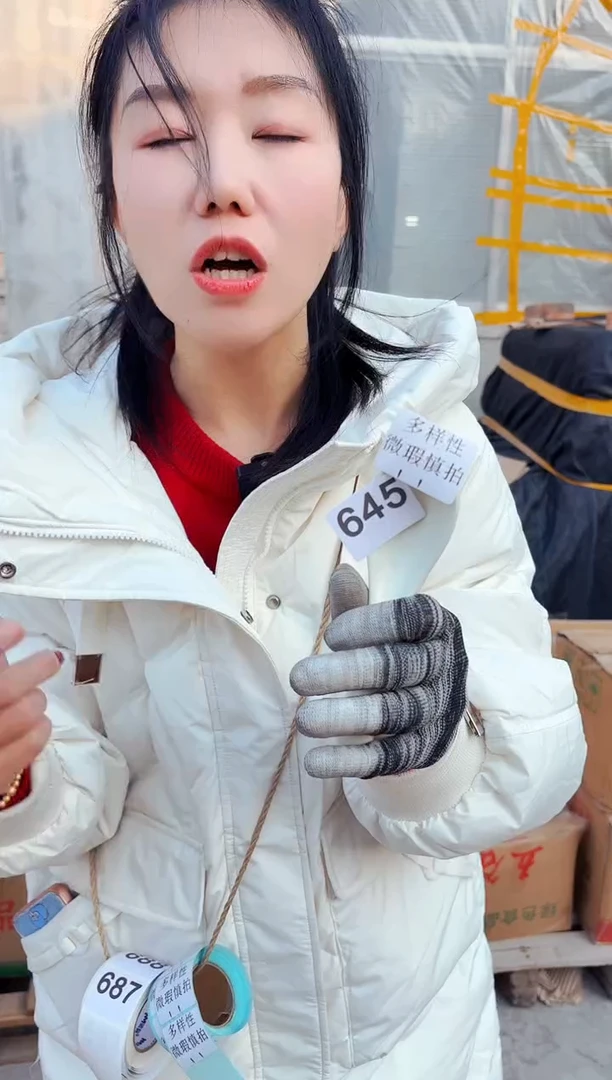 【闪购商品】炻瓷无盖款645【微瑕慎拍】四个装