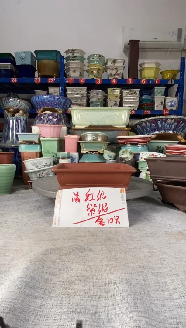 252306红紫各10只