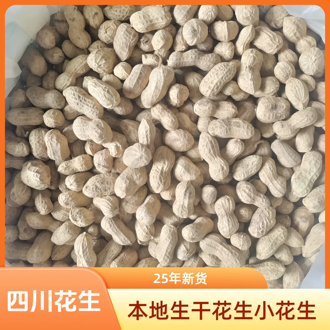 四川新鲜晒干带壳生花生天府花生粉皮花生红皮花生生吃补气血壳薄
