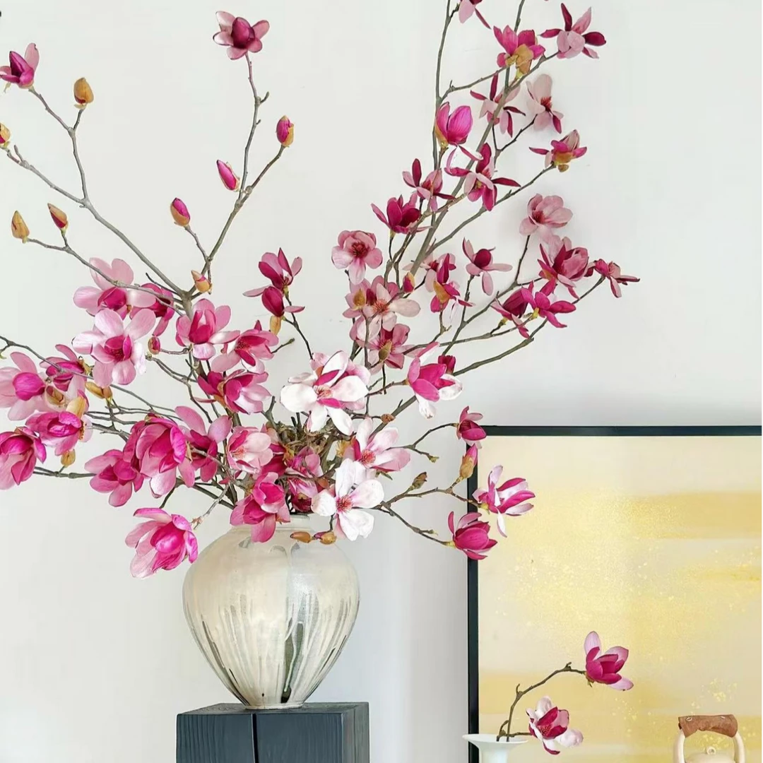 玉兰花鲜枝带花苞水培植物室内好养易活森系植物