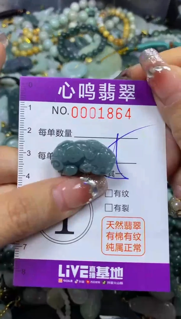【闪购商品】翡翠颈饰未镶嵌闪购001864