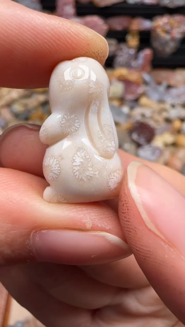 【闪购商品】硅化珊瑚（珊瑚玉）颈饰未镶嵌756