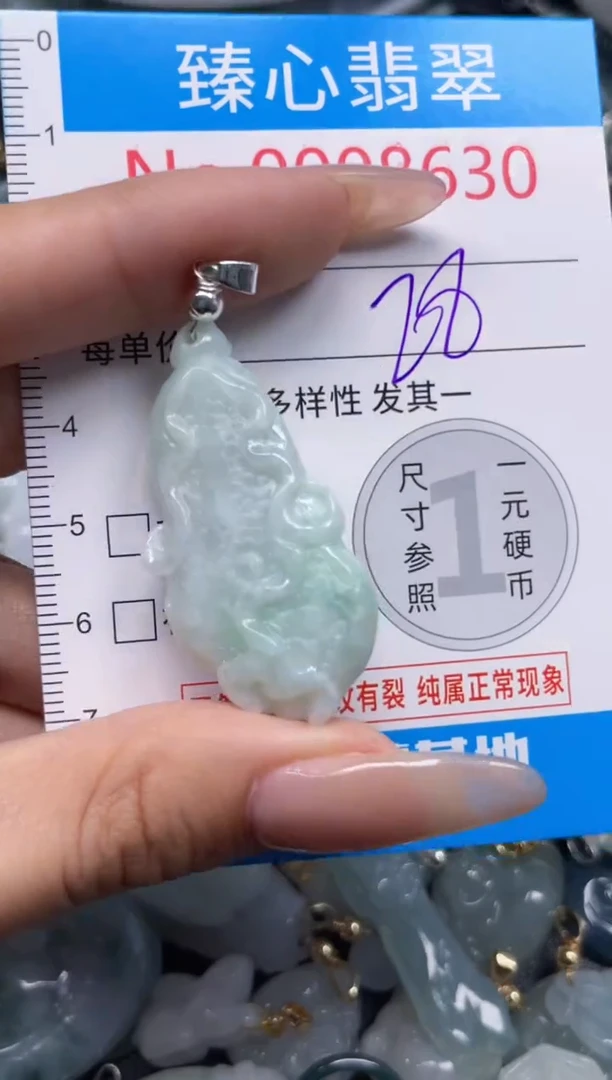 颈饰未镶嵌翡翠8630