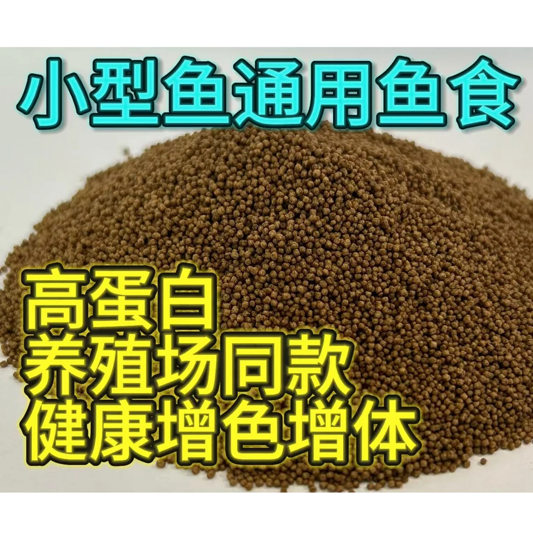 小型观赏鱼专用饲料高蛋白微颗粒天使鱼孔雀鱼斑马鱼鱼食颗粒鱼粮