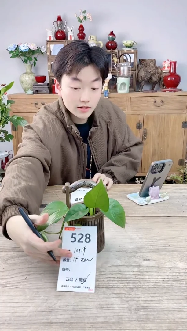 晴好园艺直播编号528