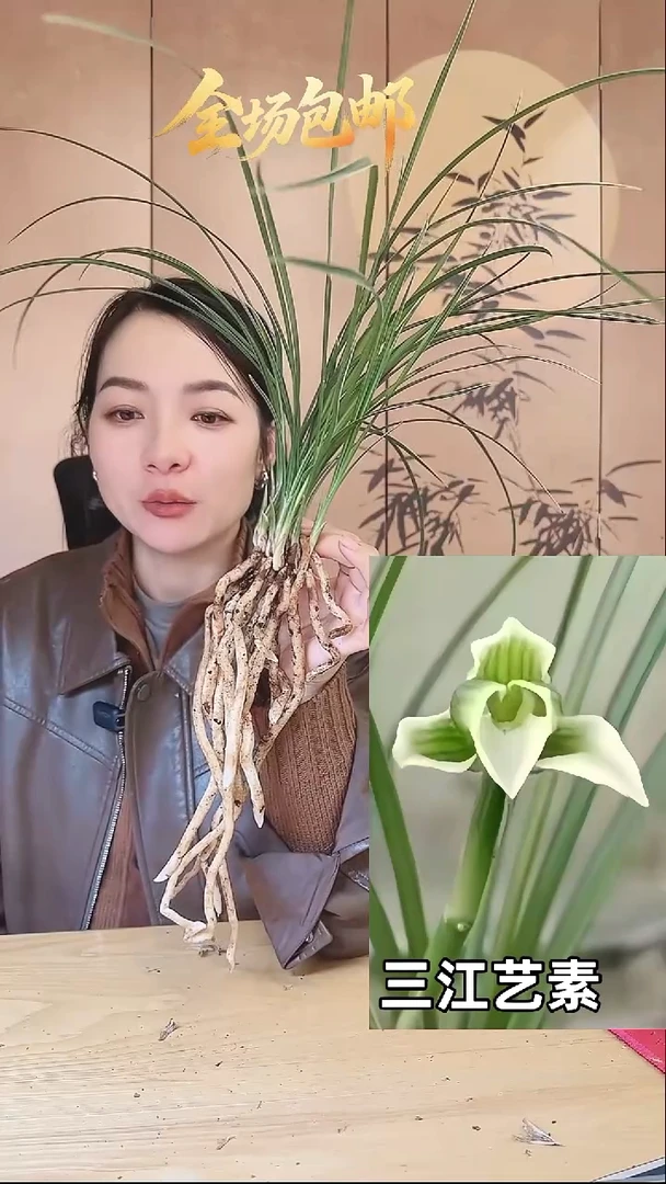 当前无花栽培后可以开花：三江艺素